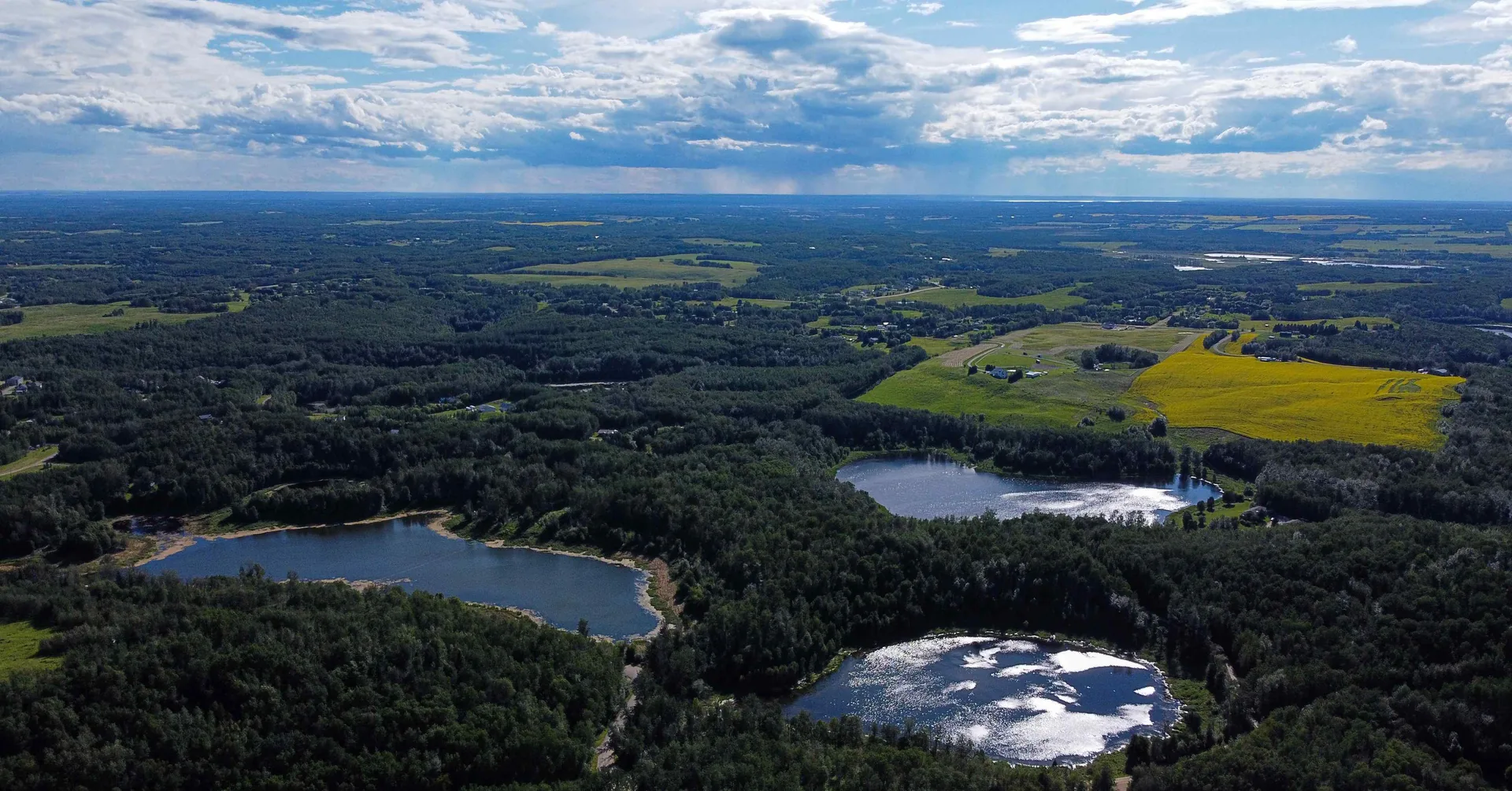 Lakes and forest